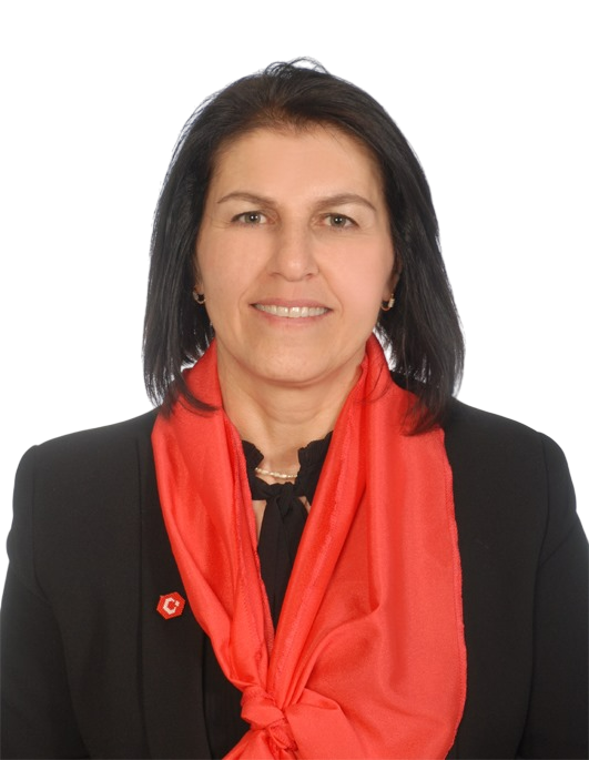 FADEN  ÖZCAN